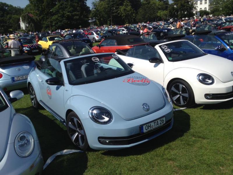 11898908 1141445215882994 1815835087583356975 n