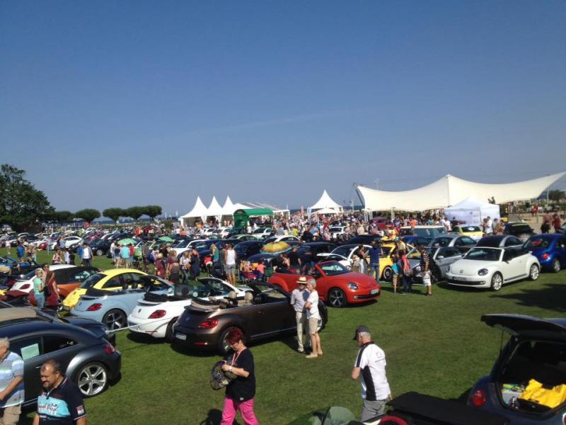 11902539 1141443229216526 5902395216034586056 n