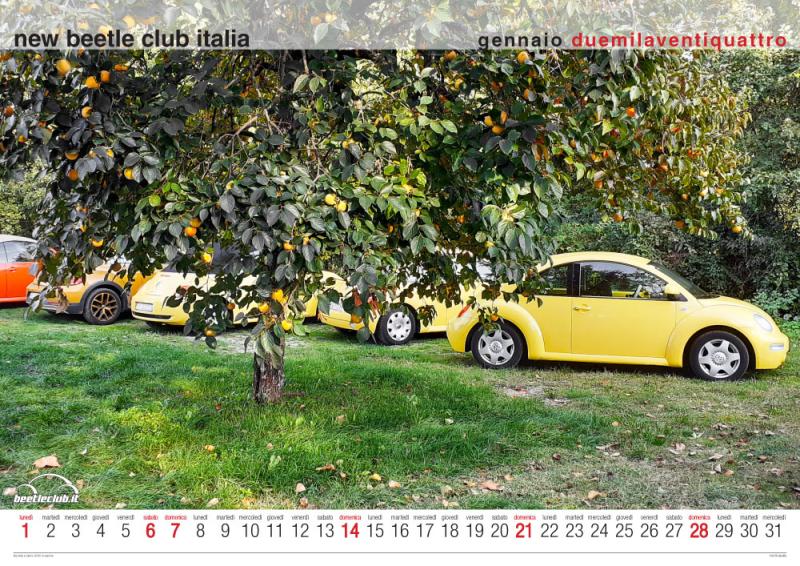 11903726 1141445922549590 6146623287815320010 n