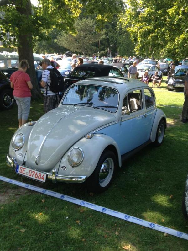 11903981 1141444279216421 8708215423372356976 n - copia