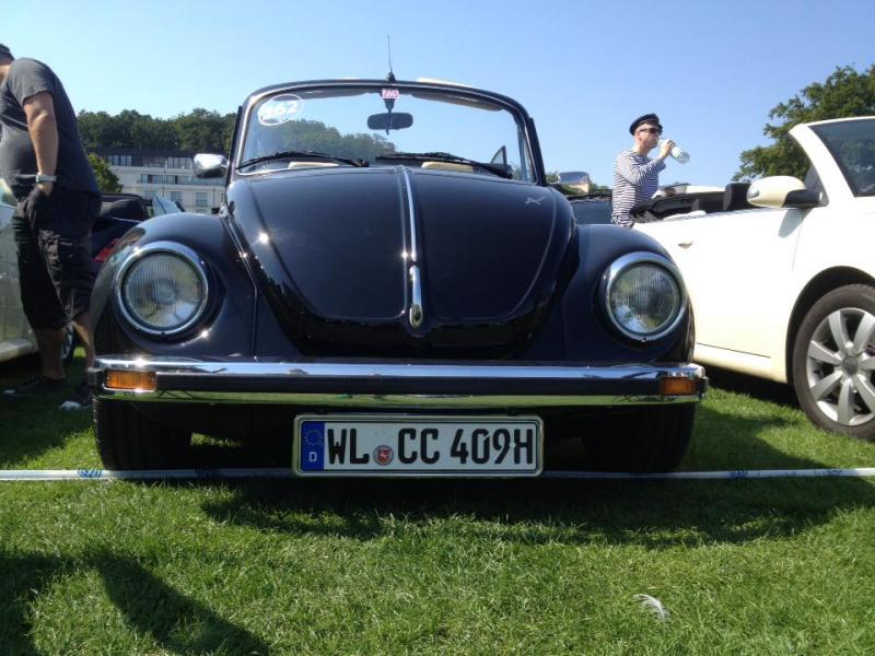 11923215 1141444125883103 1948942479816845171 n