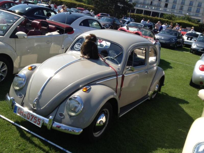 11947452 1141444969216352 9080433905947989215 n - copia