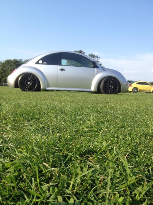 11949386 1141441842549998 6197433643826624034 n - copia