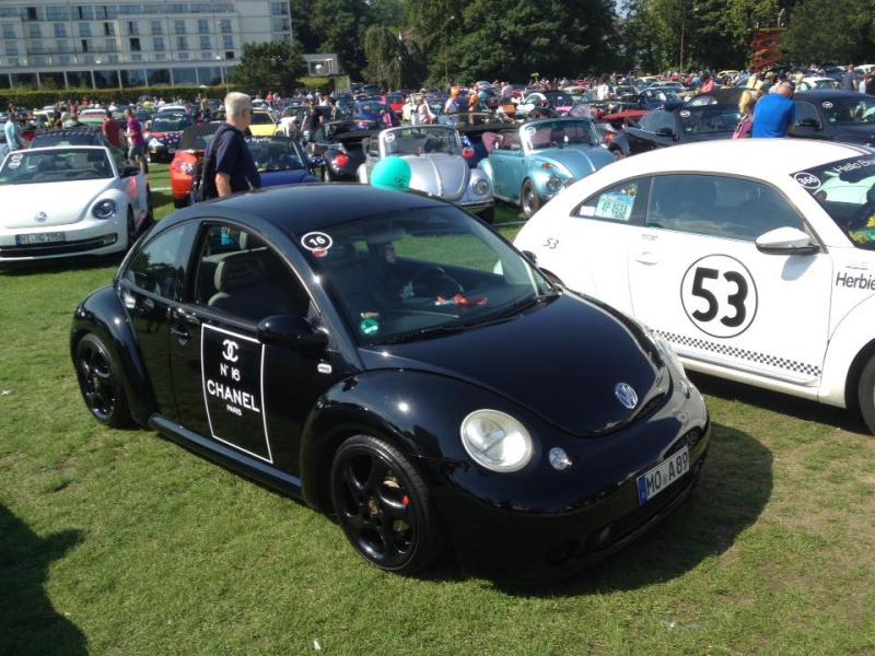 11949472 1141445629216286 7882742243889901578 n