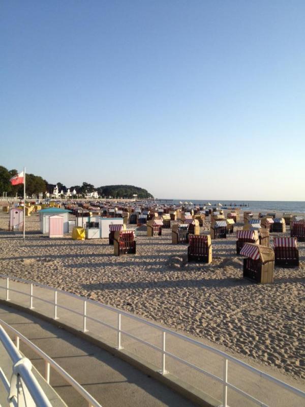 11951156 1141442729216576 3749067108237782838 n