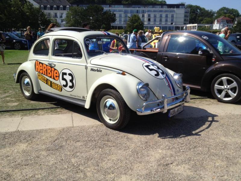 11951269 1141445279216321 3166425309895464284 n - copia