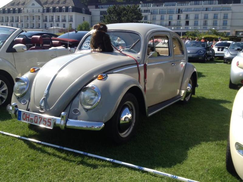 11953258 1141444839216365 6192777645944382262 n