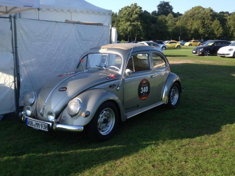 11954682 1141442709216578 6719605843651339240 n