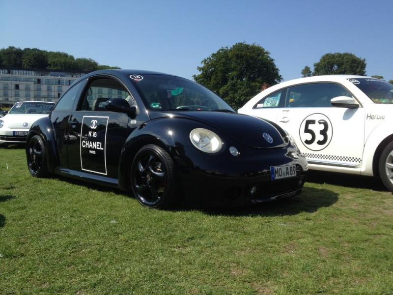 11954737 1141445569216292 283897326854614408 n