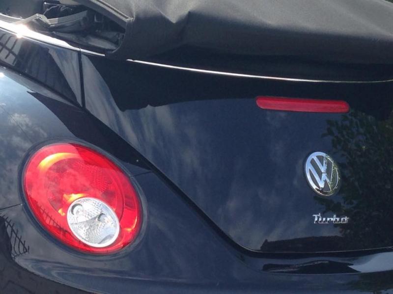 11998814 950945274969833 525628166 n