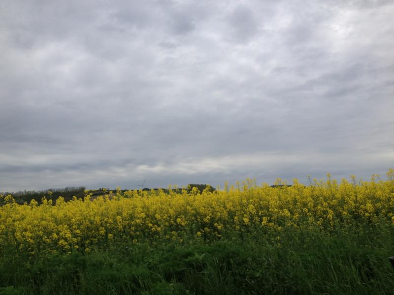 13? raduno internazionale in Rep. Ceca 8-9 maggio 2015