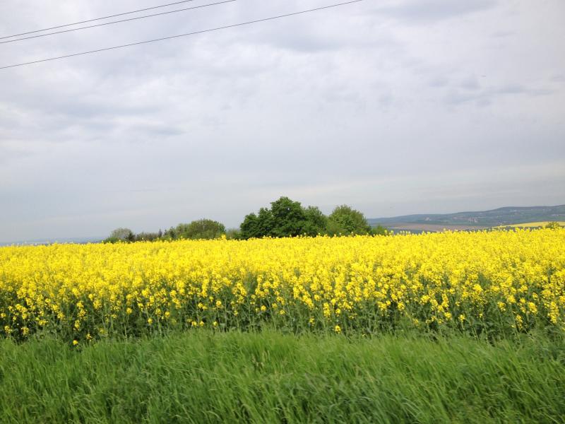 13? raduno internazionale in Rep. Ceca 8-9 maggio 2015