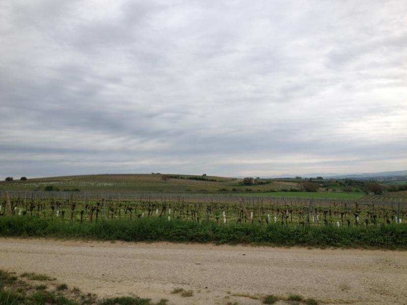 13? raduno internazionale in Rep. Ceca 8-9 maggio 2015