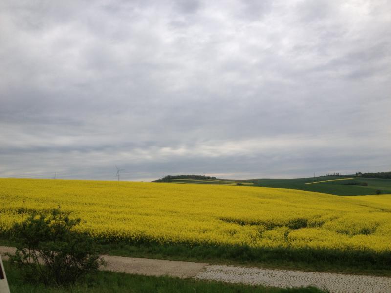 13? raduno internazionale in Rep. Ceca 8-9 maggio 2015