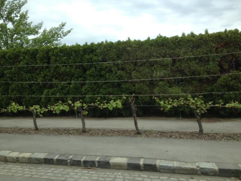 13? raduno internazionale in Rep. Ceca 8-9 maggio 2015