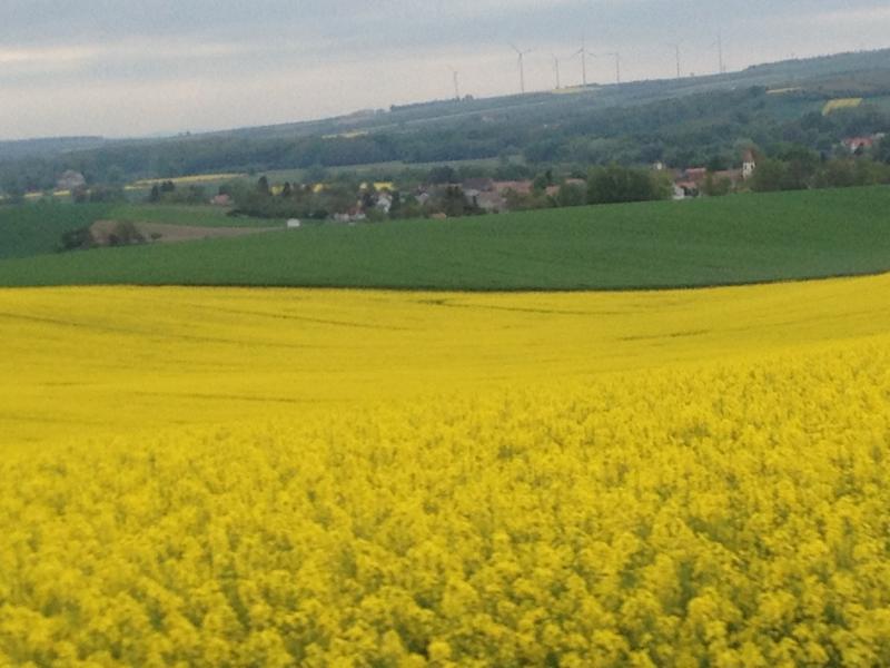 13? raduno internazionale in Rep. Ceca 8-9 maggio 2015