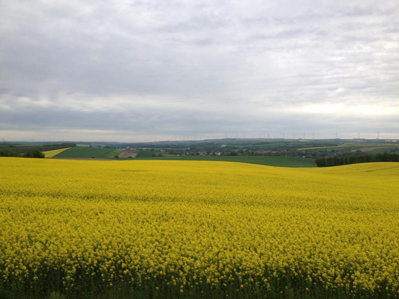 13? raduno internazionale in Rep. Ceca 8-9 maggio 2015