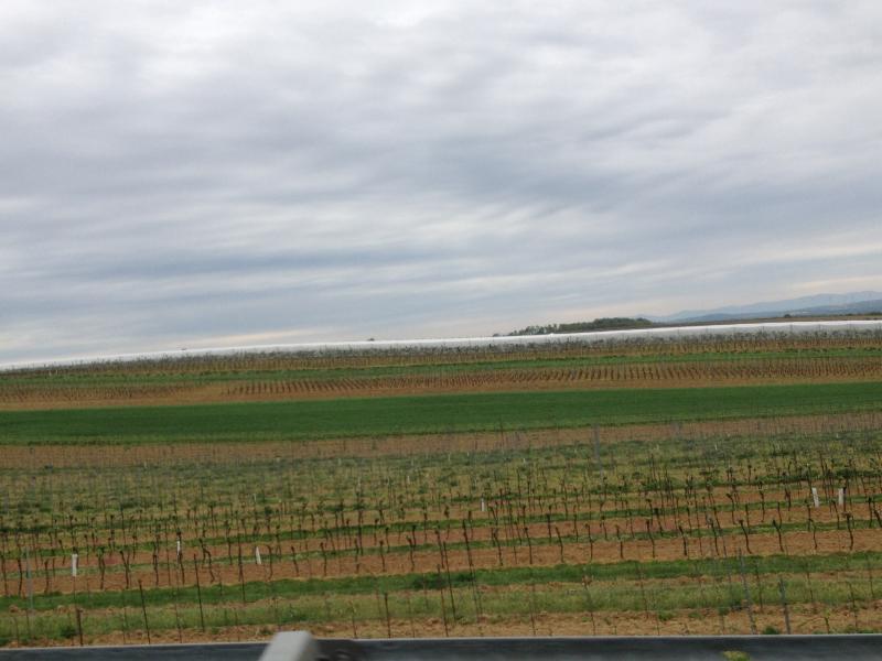 13? raduno internazionale in Rep. Ceca 8-9 maggio 2015