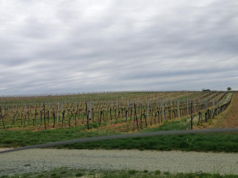 13? raduno internazionale in Rep. Ceca 8-9 maggio 2015