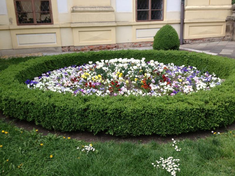 13? raduno internazionale in Rep. Ceca 8-9 maggio 2015