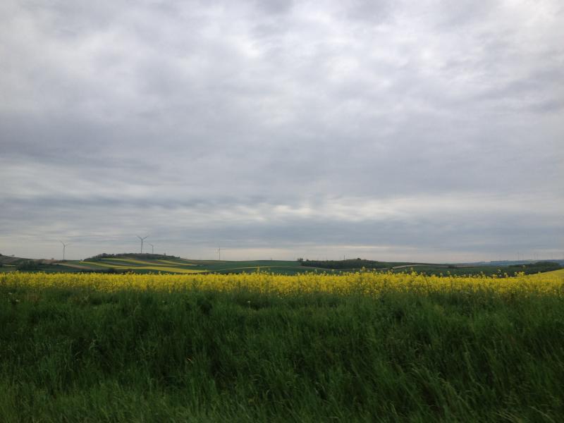 13? raduno internazionale in Rep. Ceca 8-9 maggio 2015