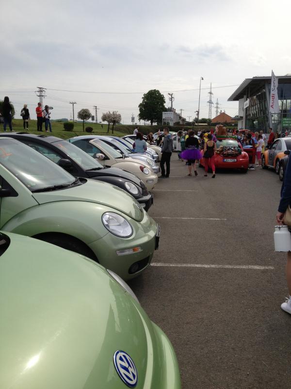 13? raduno internazionale in Rep. Ceca 8-9 maggio 2015