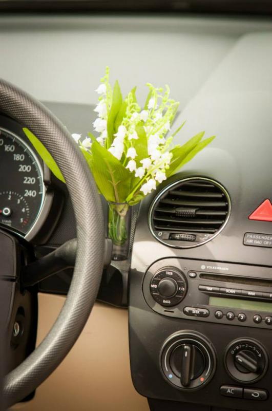 13th International Beetle Meeting in Czech Republic (spring event)