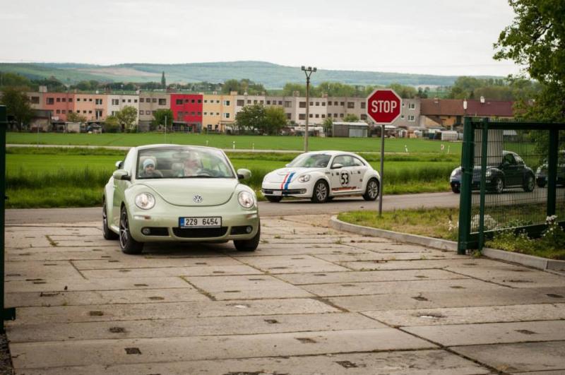 13th International Beetle Meeting in Czech Republic (spring event)