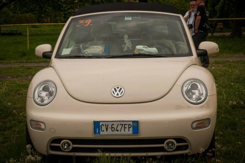 13th International Beetle Meeting in Czech Republic (spring event)