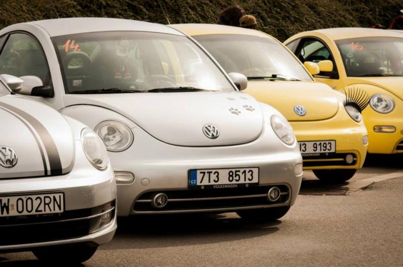 13th International Beetle Meeting in Czech Republic (spring event)