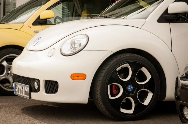 13th International Beetle Meeting in Czech Republic (spring event)