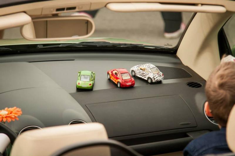 13th International Beetle Meeting in Czech Republic (spring event)