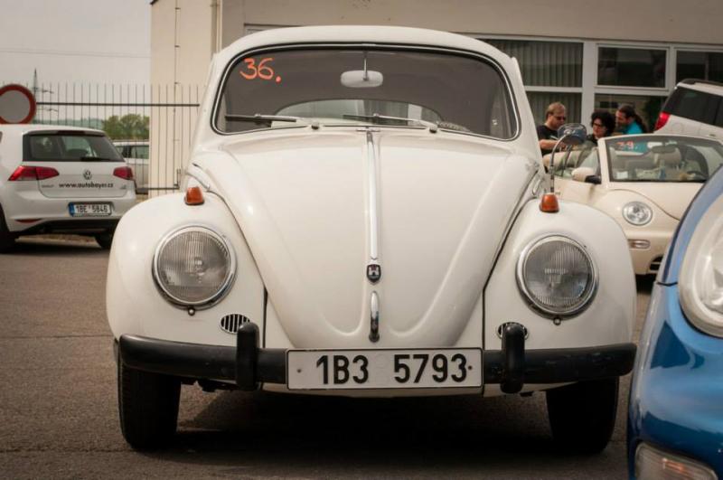 13th International Beetle Meeting in Czech Republic (spring event)