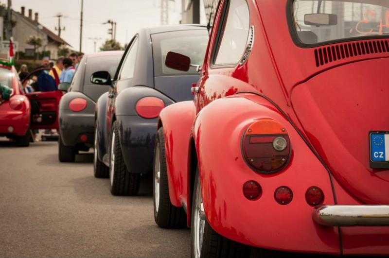 13th International Beetle Meeting in Czech Republic (spring event)