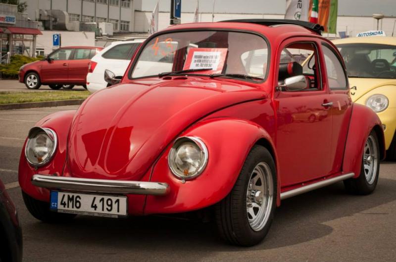 13th International Beetle Meeting in Czech Republic (spring event)