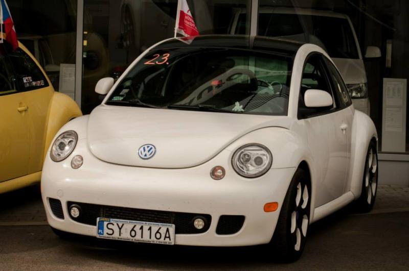 13th International Beetle Meeting in Czech Republic (spring event)