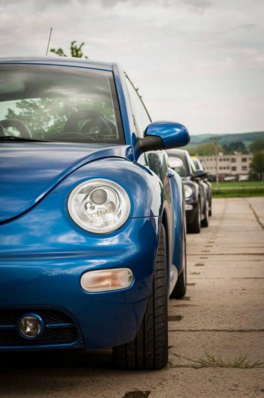 13th International Beetle Meeting in Czech Republic (spring event)