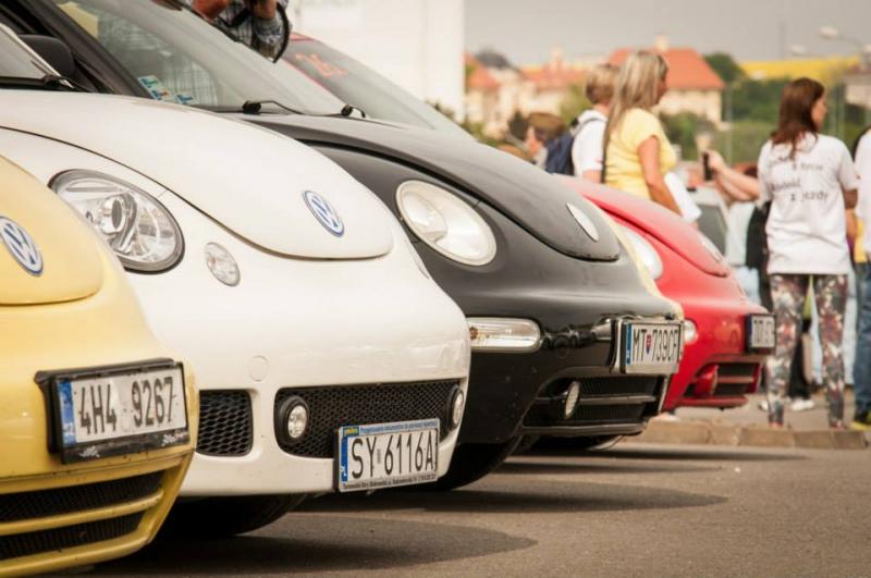 13th International Beetle Meeting in Czech Republic (spring event)