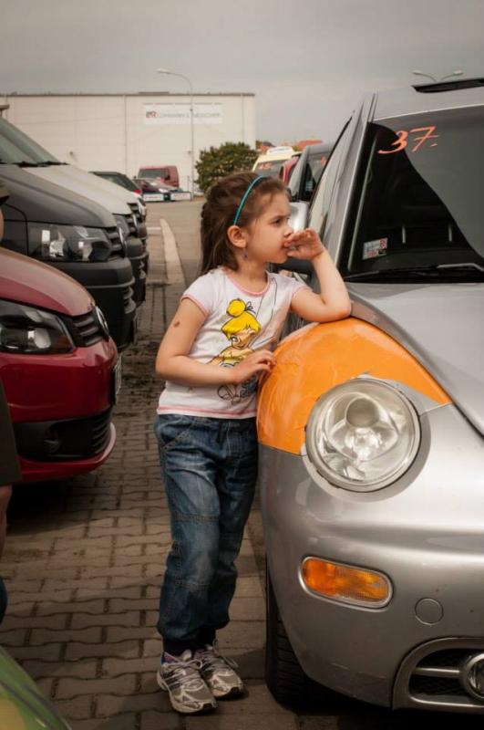 13th International Beetle Meeting in Czech Republic (spring event)