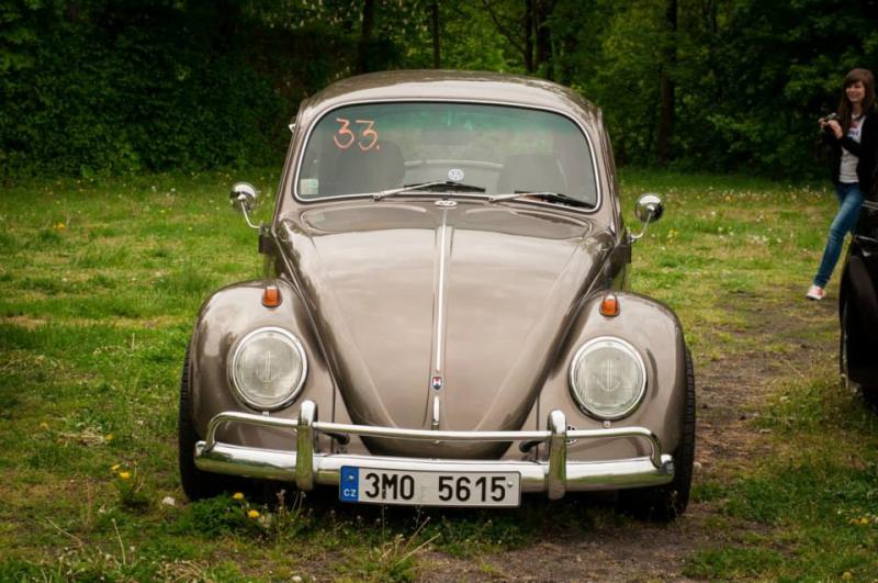 13th International Beetle Meeting in Czech Republic (spring event)