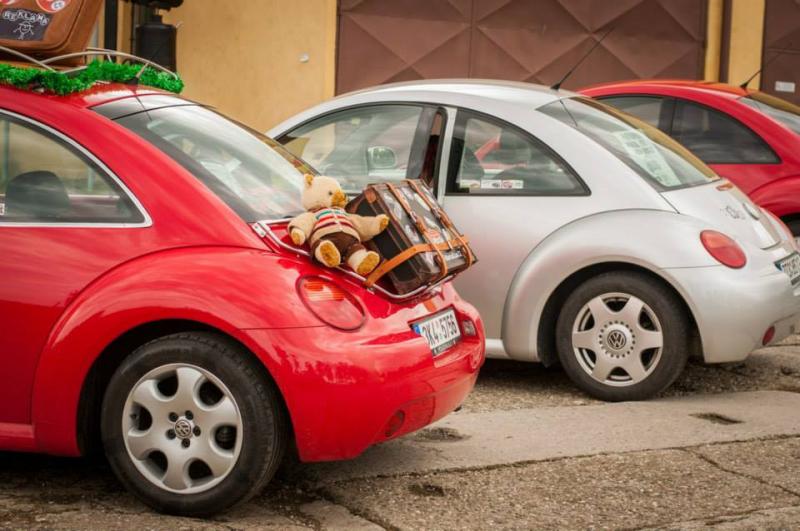 13th International Beetle Meeting in Czech Republic (spring event)