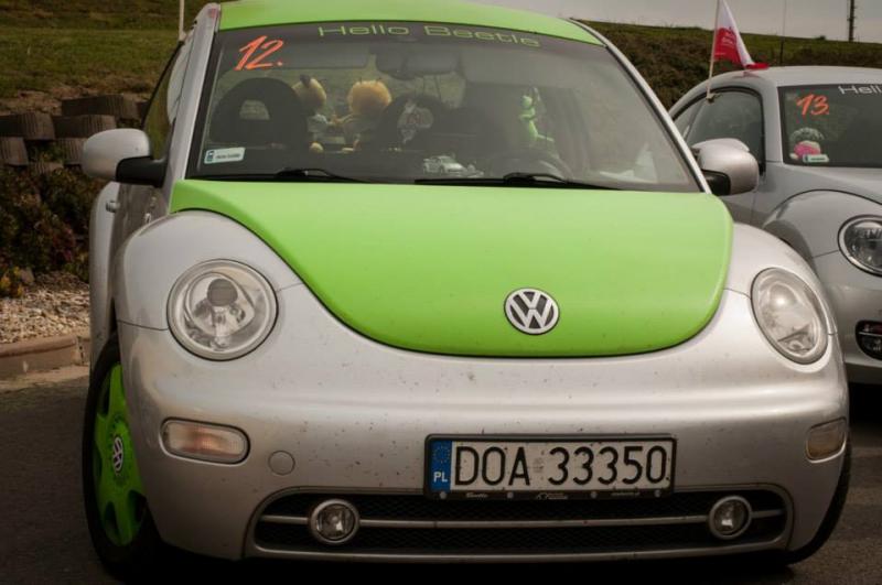 13th International Beetle Meeting in Czech Republic (spring event)