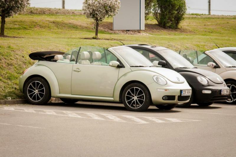 13th International Beetle Meeting in Czech Republic (spring event)