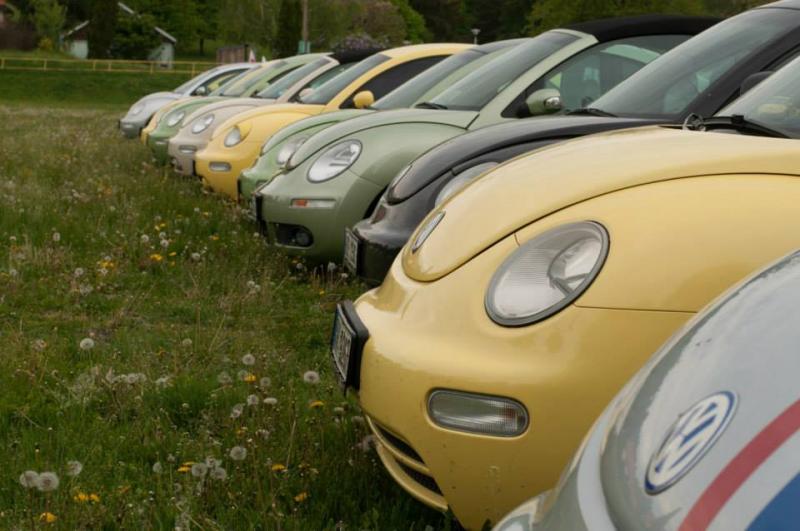 13th International Beetle Meeting in Czech Republic (spring event)
