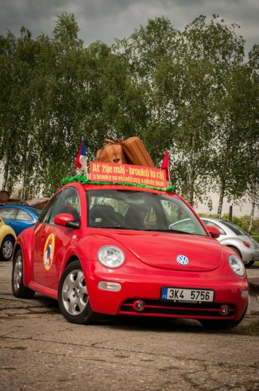 13th International Beetle Meeting in Czech Republic (spring event)