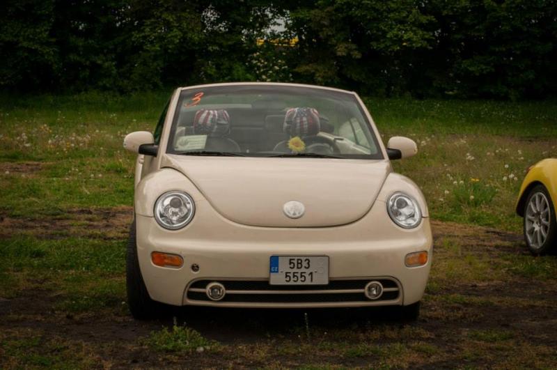 13th International Beetle Meeting in Czech Republic (spring event)