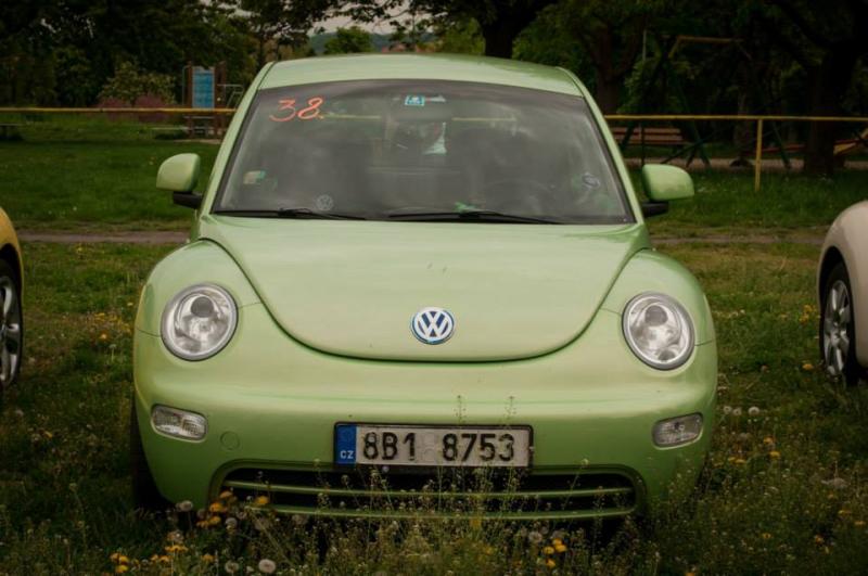 13th International Beetle Meeting in Czech Republic (spring event)