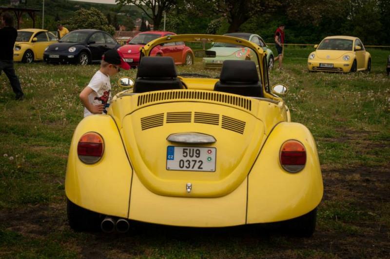 13th International Beetle Meeting in Czech Republic (spring event)