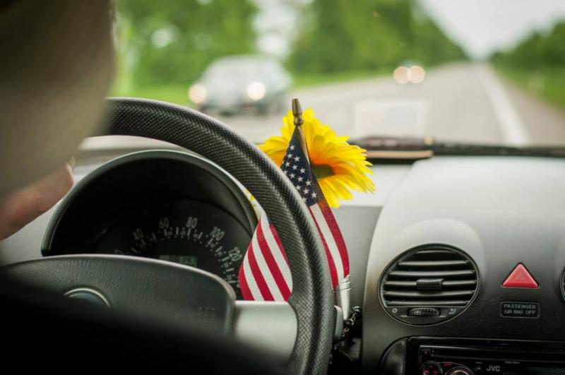 13th International Beetle Meeting in Czech Republic (spring event)