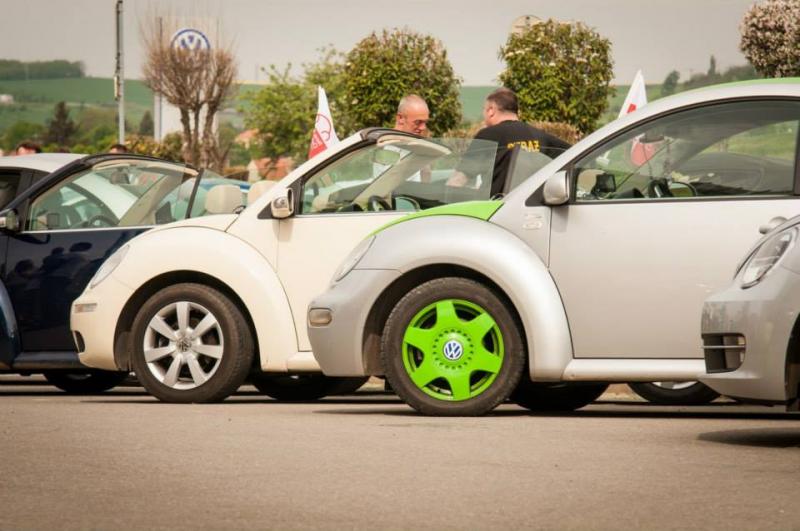 13th International Beetle Meeting in Czech Republic (spring event)